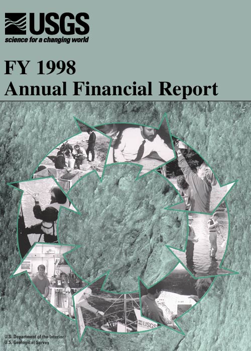 FY 1998 Annual Financial Report
