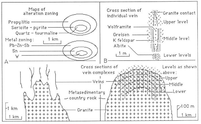 Descriptive Model Of W Veins