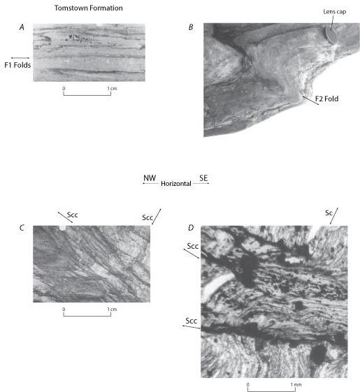 Photographs of thin section
        of west-verging intrafolial folds and 
        west-verging inclined folds  in rocks of
        the Tomstown Formation. For a more detailed explanation, contact ssouthwo@usgs.gov.