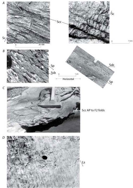 Photographs of A, cleavage
      cut by crenulation cleavage,
      shear band cleavage cutting phyllonitic
      foliation, Scc that
      is axial planar to F2 folds, and slickenlines. For a more detailed explanation, contact ssouthwo@usgs.gov.
