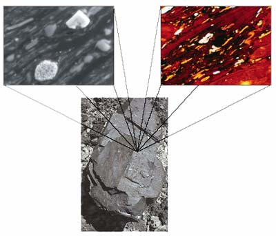 Photograph of a chunk of coal and two photomicrographs of samples taken from that coal