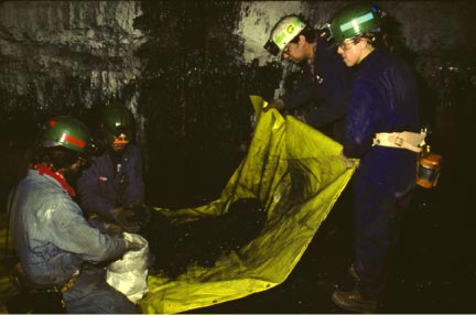 Photograph of a coal bed 'face' in an underground
      coal mine showing personnel collecting a channel sample of fresh
      coal