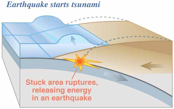 drawing of subduction zone