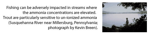 photo page 9 left - Fishing can be adversely impacted in streams where the ammonia
concentrations are elevated.  Trout are particularly sensitive to
un-ionized ammonia (Susquehanna River near Millersburg, Pennsylvania;
photograph by Kevin Breen).