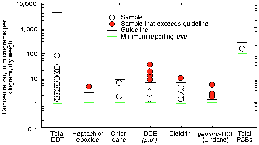 Graph: Concentrations of total DDT, heptachlor epoxide, chlordane,
 p,p'-DDE, dieldrin, gamma-HCH (lindane), and total PCBs