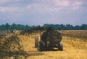 Photo of manure spreading truck