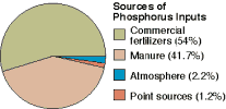 Pie Chart of Phosphorus Inputs