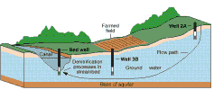 Cross section showing generalized ground water flow paths