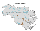Stream Habitat