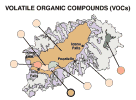 Map:Volatile Organic Compounds