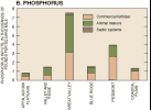 Bar chart: Phosphorus