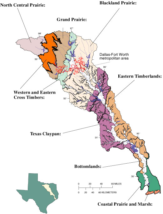 Map showing physiographic regions in the Trinity River Basin.
