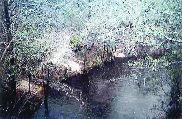 Sopchoppy River at Send Wilderness, Florida