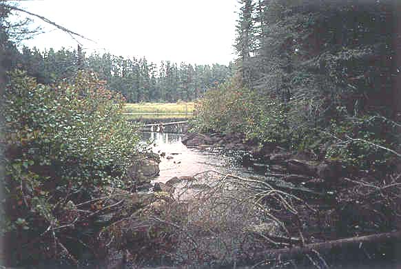 Ahmoo Creek