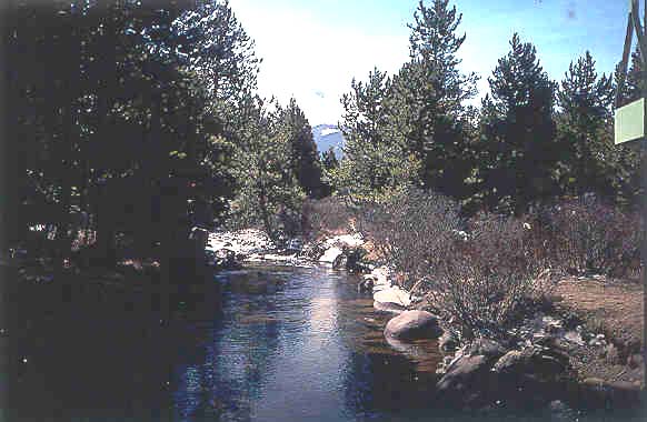 Halfmoon Creek 1