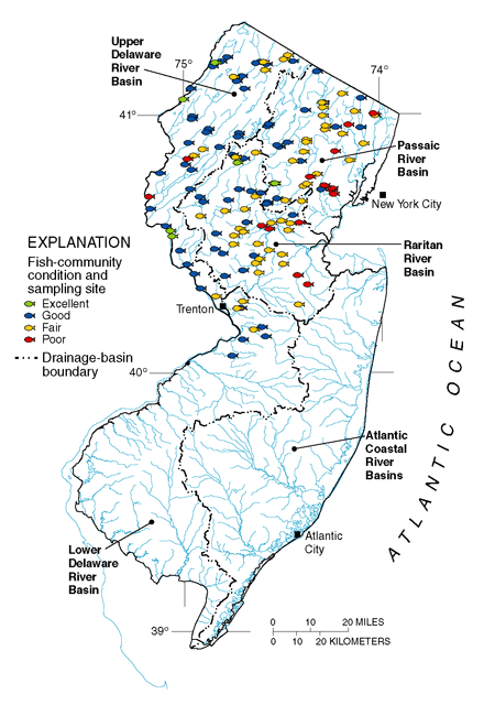 Figure 8. Fish-community data at more than 150 sampling sites in northern New Jersey indicate that streams in urban areas are in poor to fair condition (based on IBI scores; blue text box on p. 5).