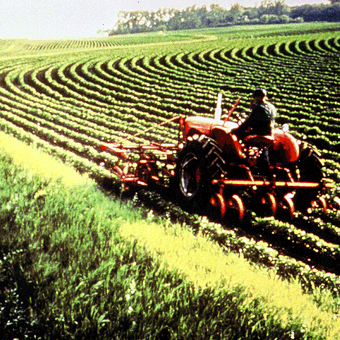Figure 31. In the agricultural study area, the predominant crops are corn, soybeans, and small grains. (Photograph from Ohio Department of Natural Resources.)