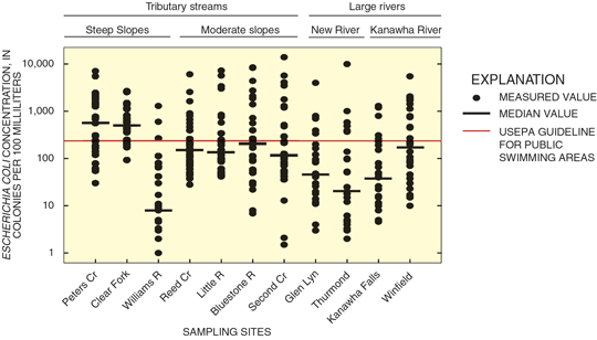 Figure 18. E. coli bacteria concentrations in streams vary widely.