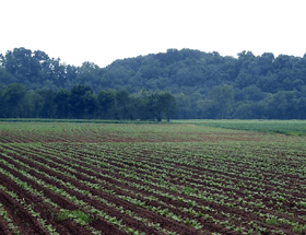 Row crops account for only 2.6 percent of the Upper Tennessee River Basin.