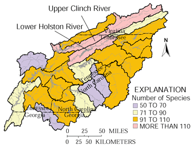 Figure 7. Fish diversity is highest in the Lower Holston and Upper Clinch River systems.