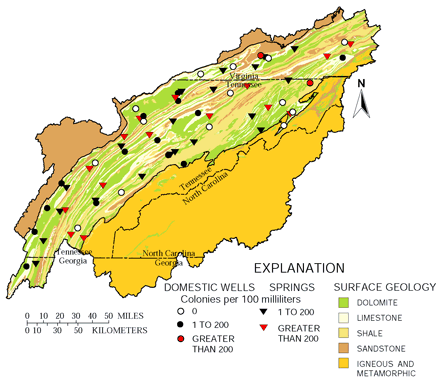 Figure 13. Coliform bacteria are often detected in Upper Tennessee River Basin ground water.