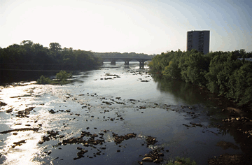 The Congaree River is one of several rivers in the Santee Basin that exceeded the U.S. Environmental Protection Agency goal for phosphorus.