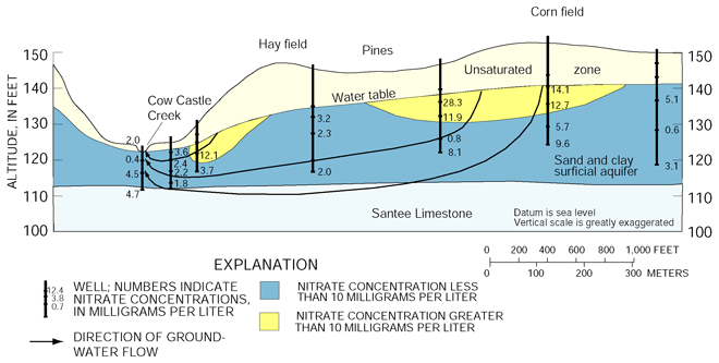 Figure 14. Concentrations of nitrate are reduced through denitrification as ground water flows to Cow Castle Creek. Typical wells used for water supply in this area are greater than 100 feet deep. Nitrate concentrations at that depth generally are not above drinking-water standards.