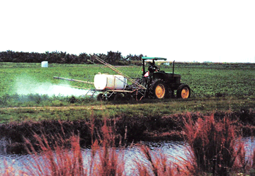 Pesticide application in vegetable farming area.