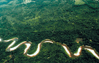 Figure 2 cont. This photo show depicts a classic meandering stream. Streams like this are low-energy systems and primarily deposit clay, silt, and fine sand in the flood plains adjacent to the streams. This depositional pattern is present today and has been the dominant form of deposition in the Lower Mississippi River Valley during the last 9,000 to 12,000 years. These differences in depositional environments appear to influence the chemistry of the ground water, the bioaccumulation of pesticides, and biological communities.