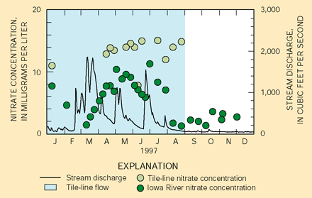 Figure 10. Tile lines can contribute substantial amounts of nitrate to streams and rivers. Nitrate concentrations in the Iowa River near Rowan decreased as tile-line discharge ceased.