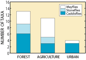 Figure 15. Total number of mayflies, stoneflies and caddisflies, indicators of good water-quality conditions, was greatest in streams draining forested areas in the Study Unit.
