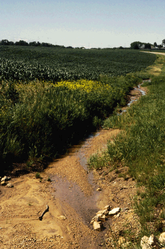 The runoff of agricultural chemicals and sediment affects water quality in nearby streams and rivers. (Photograph by Scott Murray Photography.)