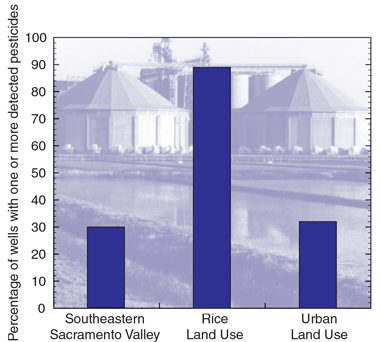 Figure 19. Percentage of wells having one or more detected pesticides for the three ground-water studies.