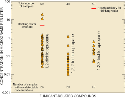 Figure 25. Fumigant-related compounds were detected frequently in shallow ground water in the agricultural land-use study area. Concentrations of 1,2-dichloropropane exceeded the drinking-water standard in two samples.