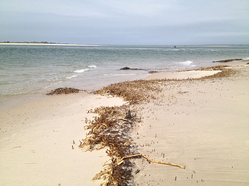 Eastern shore of the Fire Island wilderness breach (foreground) looking northwest showing the breach channel, the western shore (left), and Great South Bay (background). 