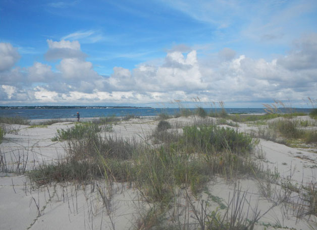 Photograph of the dunes on Pelican Island, located on the south east side of Dauphin Island, taken from sample site DA369S in August 2015.