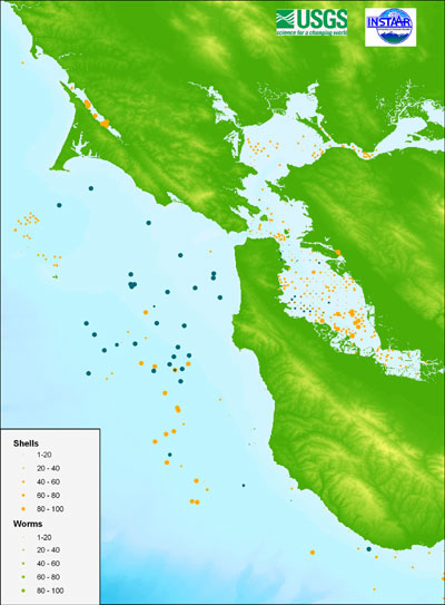 Figure 7. Image of the distribution of shells and worms, along the Central California continental shelf and San Francisco Bay, as an example of facies data from usSEABED.