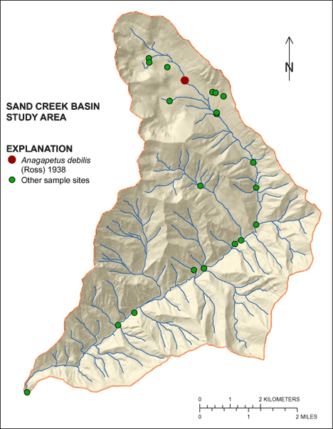 Figure showing the distribution of Anagapetus debilis in the Sand Creek Basin