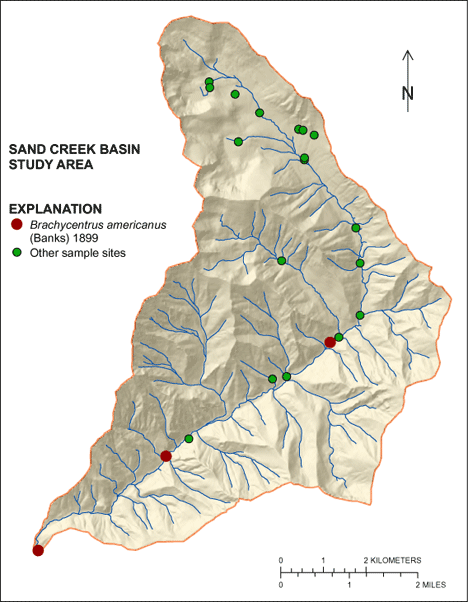 Figure showing the distribution of Brachycentrus americanus in the Sand Creek Basin
