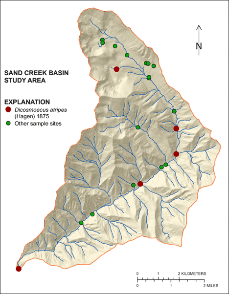Figure showing the distribution of Dicosmoecus atripes in the Sand Creek Basin
