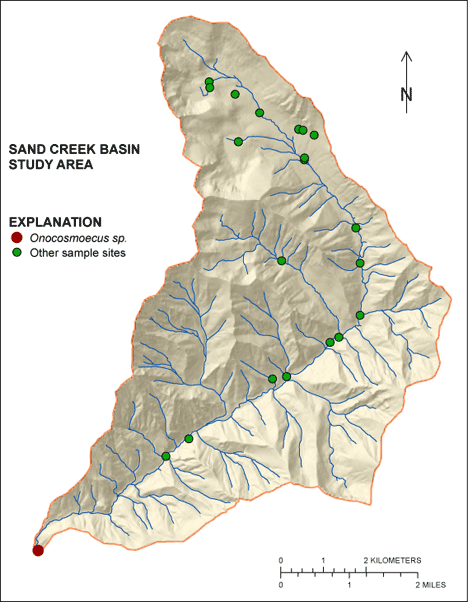 Figure showing the distribution of Onocosmoecus sp. in the Sand Creek Basin