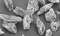 photograph showing ash particles (magnified 70 times) from the Rockland Ash deposit, which was deposited as far south as San Francisco