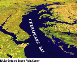 Aerial photograph of the Chesapeake Bay. [Image by NASA Goddard Space Flight Center] (Click to view larger image)