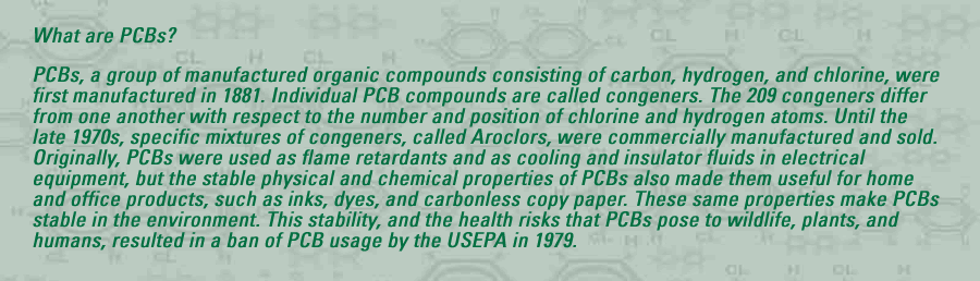 What are PCBs? - congeners in the background of an explanation