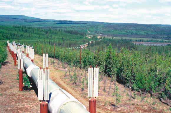 photograph of the pipeline snaking across the countryside.  The pipe would be over your head.