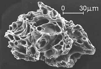 imagen de microscopio electrónico de barrido que muestra partículas de ceniza que tiene la textura de encaje queso suizo