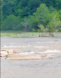 Picture of a stream in the Upper Flint River basin.