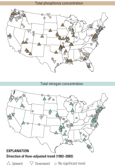 Maps showing total phosphorus and nitrogen concentration