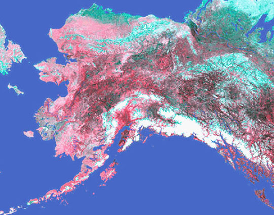 Photo of an Advanced Very High Resolution Radiometer satellite image of Alaska.