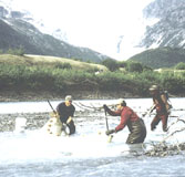 Picture of USGS hydrologists collecting fish for tissue sampling for the NAWQA program.